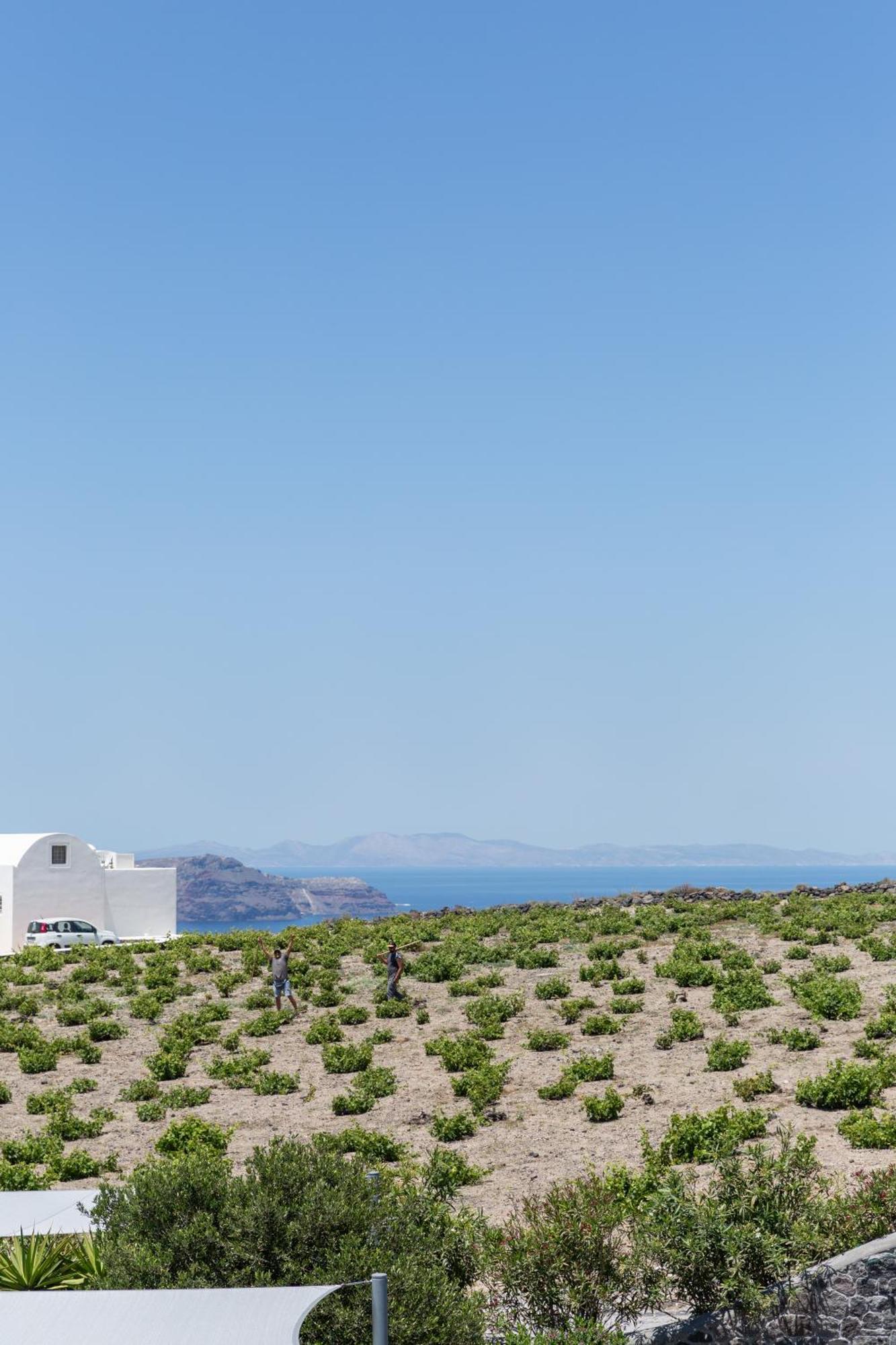 Soil Of Sun Luxury Villas Megalochori  Extérieur photo